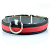 Nylon LED Dog Collar for Night Safety and Anti-lost Flashing light