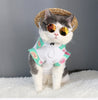 Eye-wear Pet Sunglasses Little Dog Glasses Cat Glasses