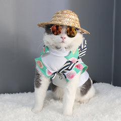 Eye-wear Pet Sunglasses Little Dog Glasses Cat Glasses
