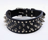 Spiked large dog collar For Medium Large Breeds