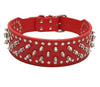 Spiked large dog collar For Medium Large Breeds