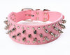 Spiked large dog collar For Medium Large Breeds