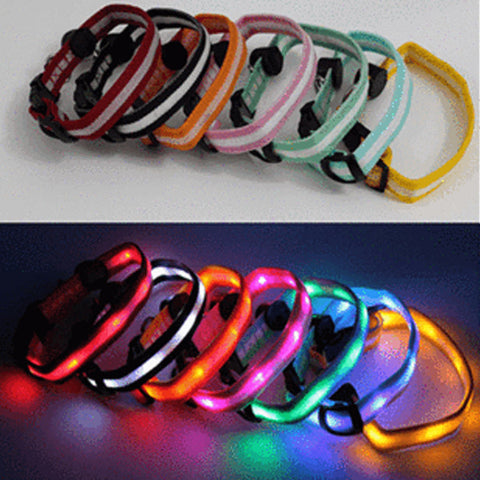 multi colour LED Flashing Lights Dog Collar